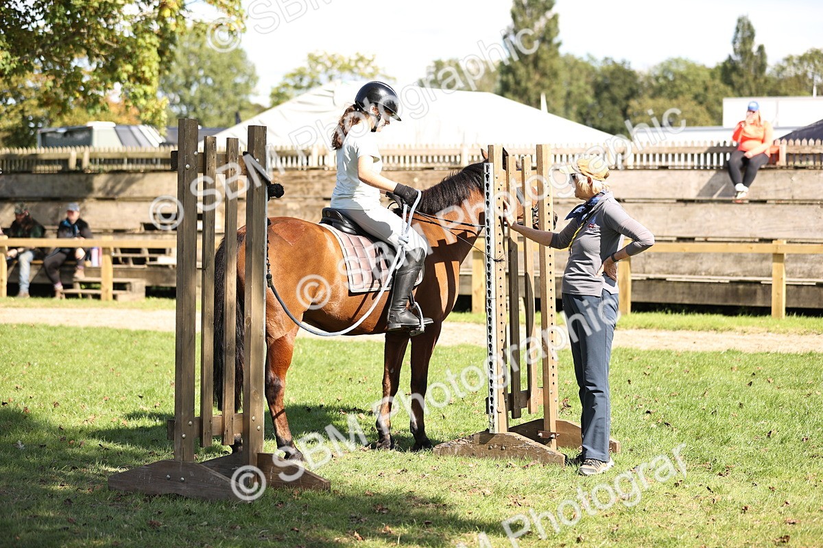 SBM_23061 - S4 - Have a Go at Working Equitation