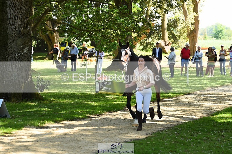 230524-151930-00203 - 320-CAVALIER_GUNFIRE-Tabitha_Baker-WEDTrotUp+DR