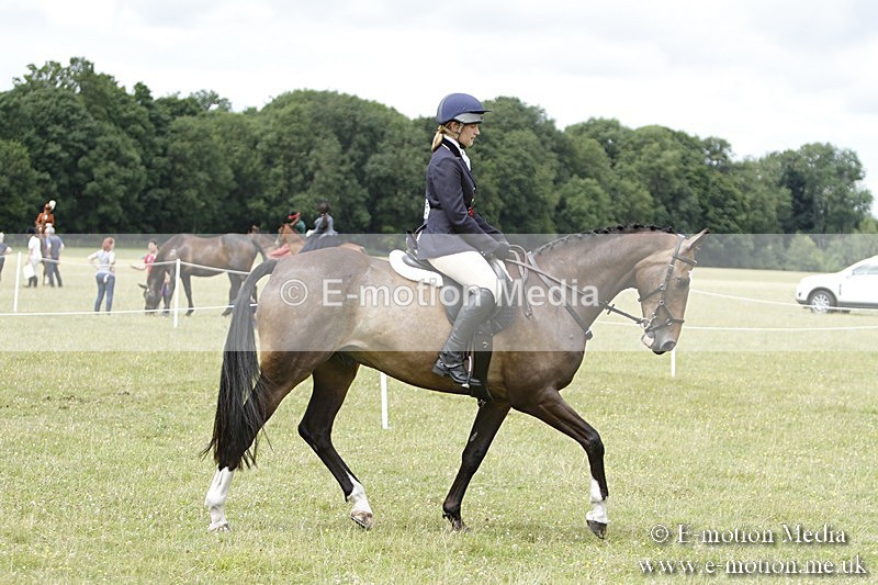 BVR160717-2285 - Working Hunter Championship 16/07/17