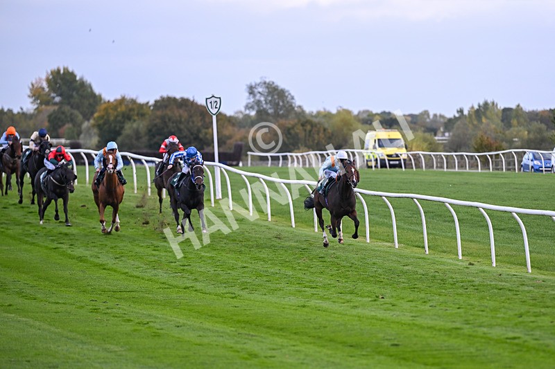 171026-Race 7-Lexington Blitz-6376 - Race 7 4.45pm William Hill Catterick Dash Handicap