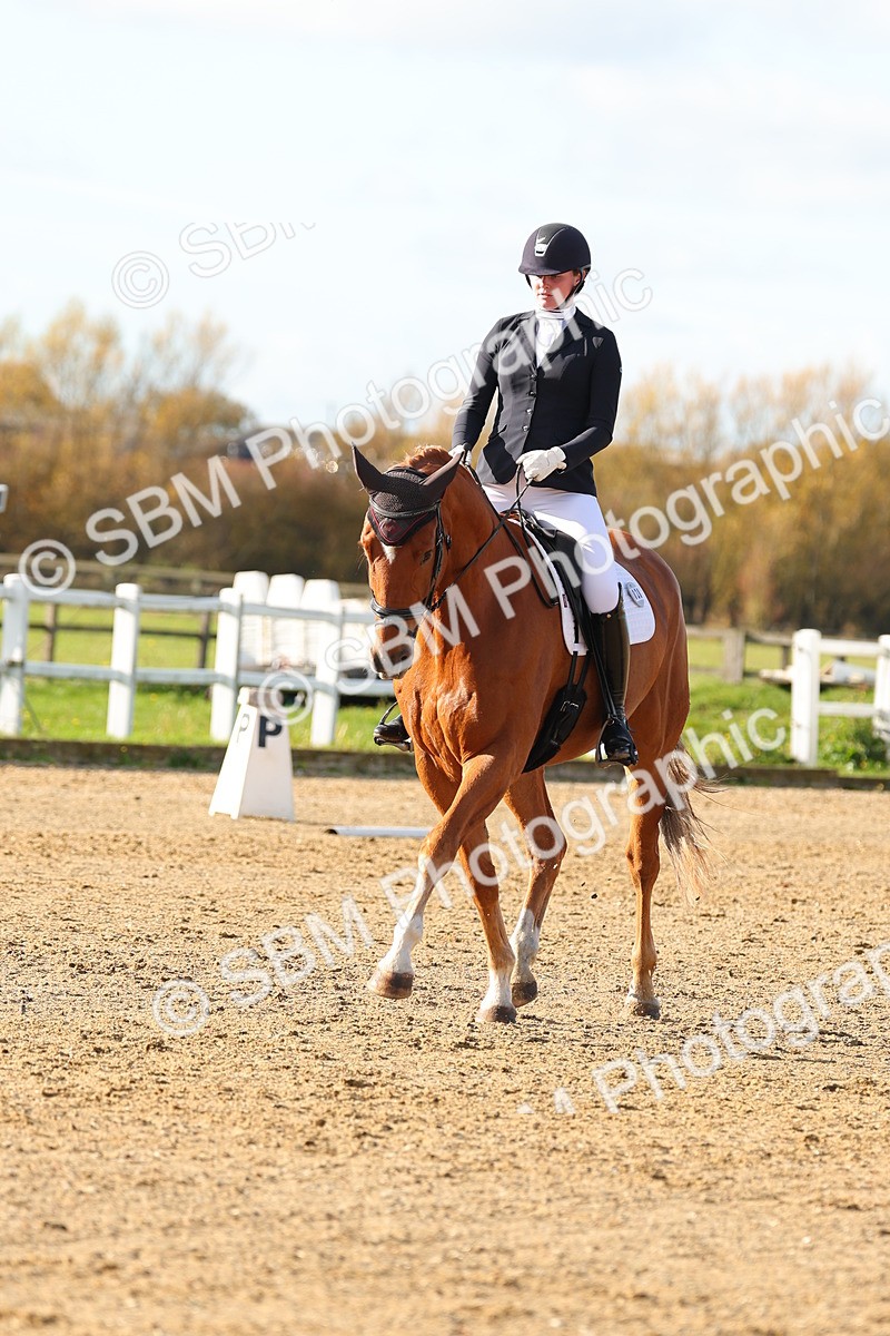 SBM_001163 - Novice 5