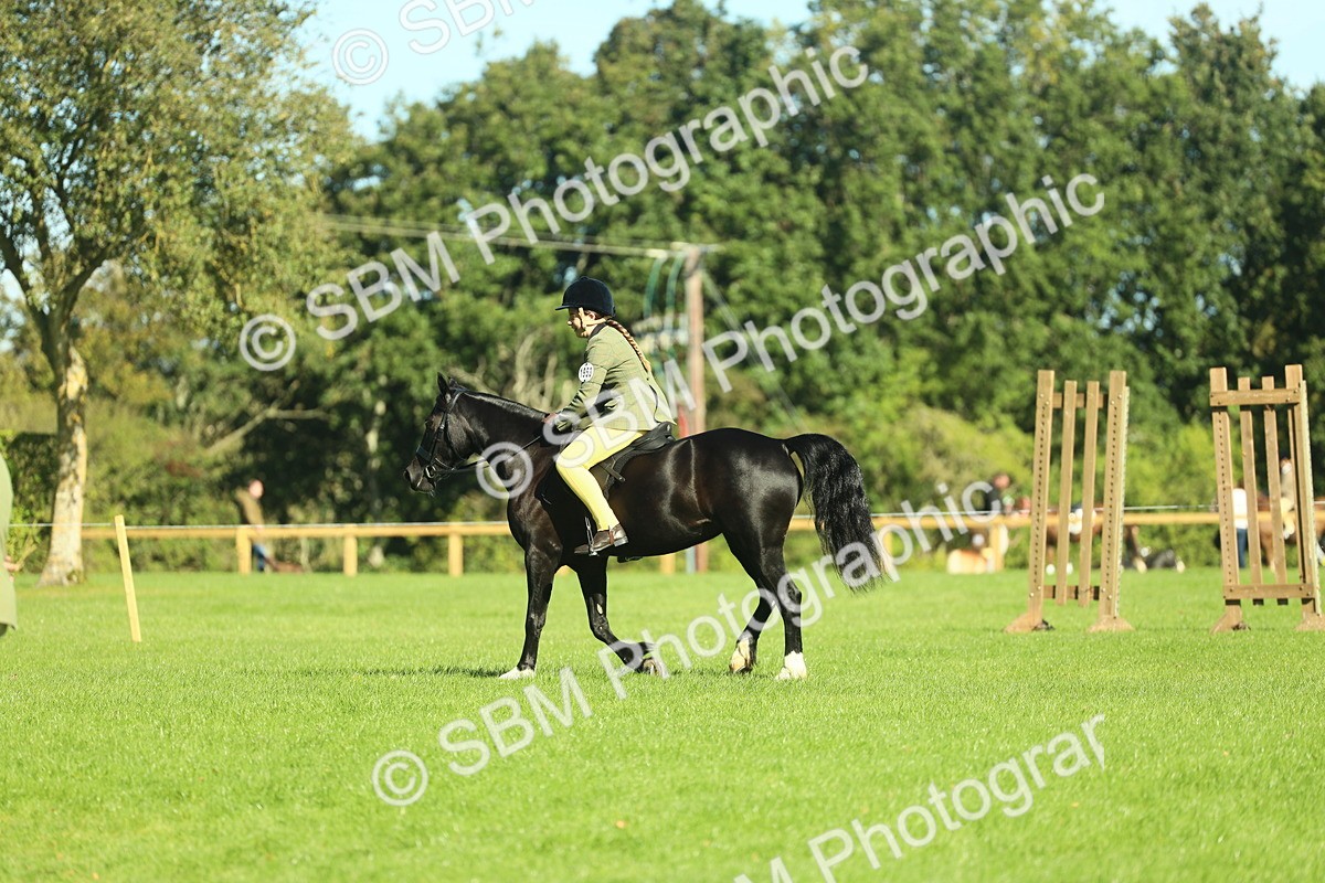 SBM_37409 - S29 - Novice & Newcomers Working Hunter Pony