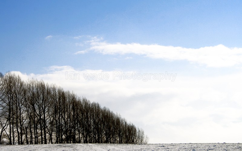  - Somerset landscape Photography