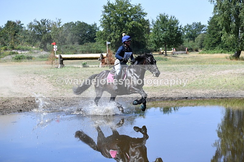 WJ5_3275 - XC Time 13:30 to 14:00