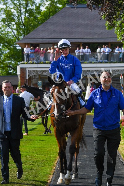 270523-Race 7-Shining Blue-1041 - Race 7 5.00pm Reg Bond Always And Forever Handicap
