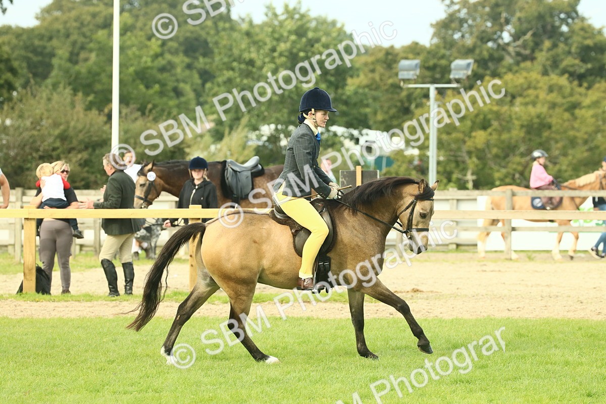 SBM_69835 - S59 - Mountain & Moorland Ridden Small Breeds
