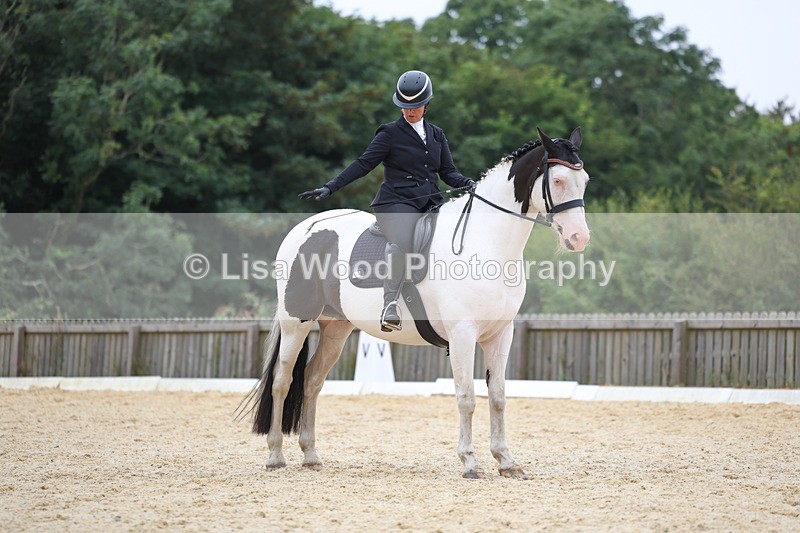 3E7A7103 - Class 7: Novice 4 2024 Section B