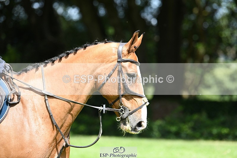 250703A-144511-01989 - Cls 14 Snr 1.15m Open