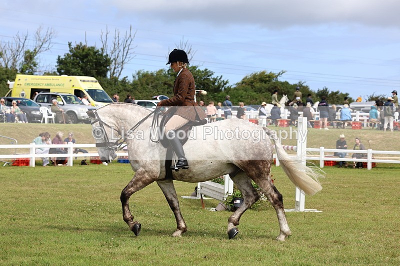 3E7A0273 - Class 6: Rising Star Maxi Cobs