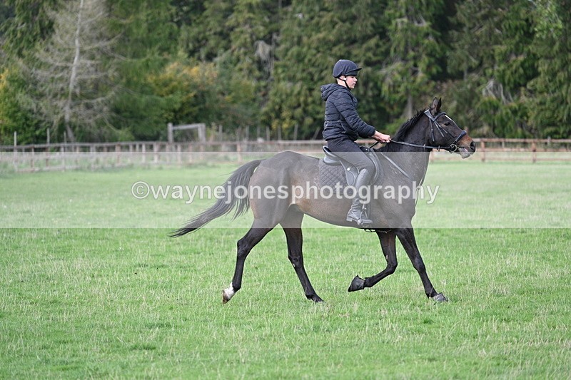 WJ7_9696 - Time 13:13 to 13:55