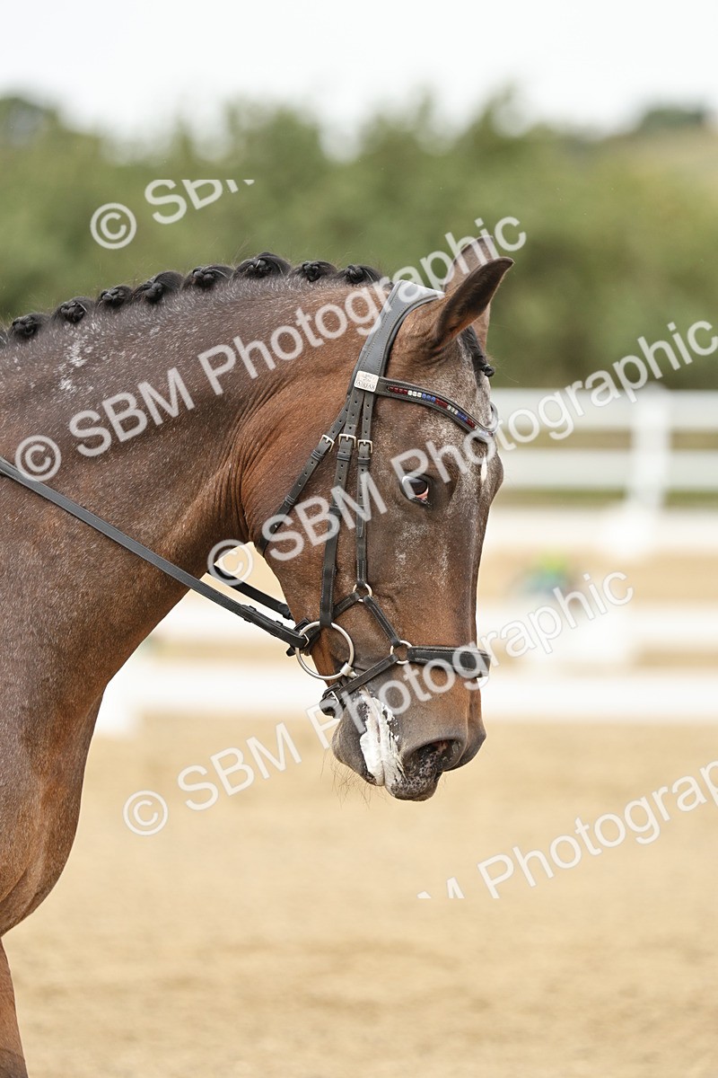 SBM_007014 - Class 21 - Medium 5 Bronze - 10.04-10.52