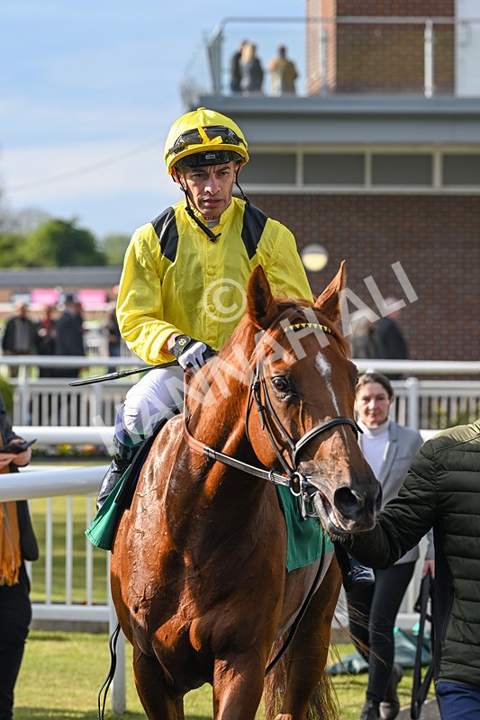 220425-Race 3-Teroomm-8979 - Race 3