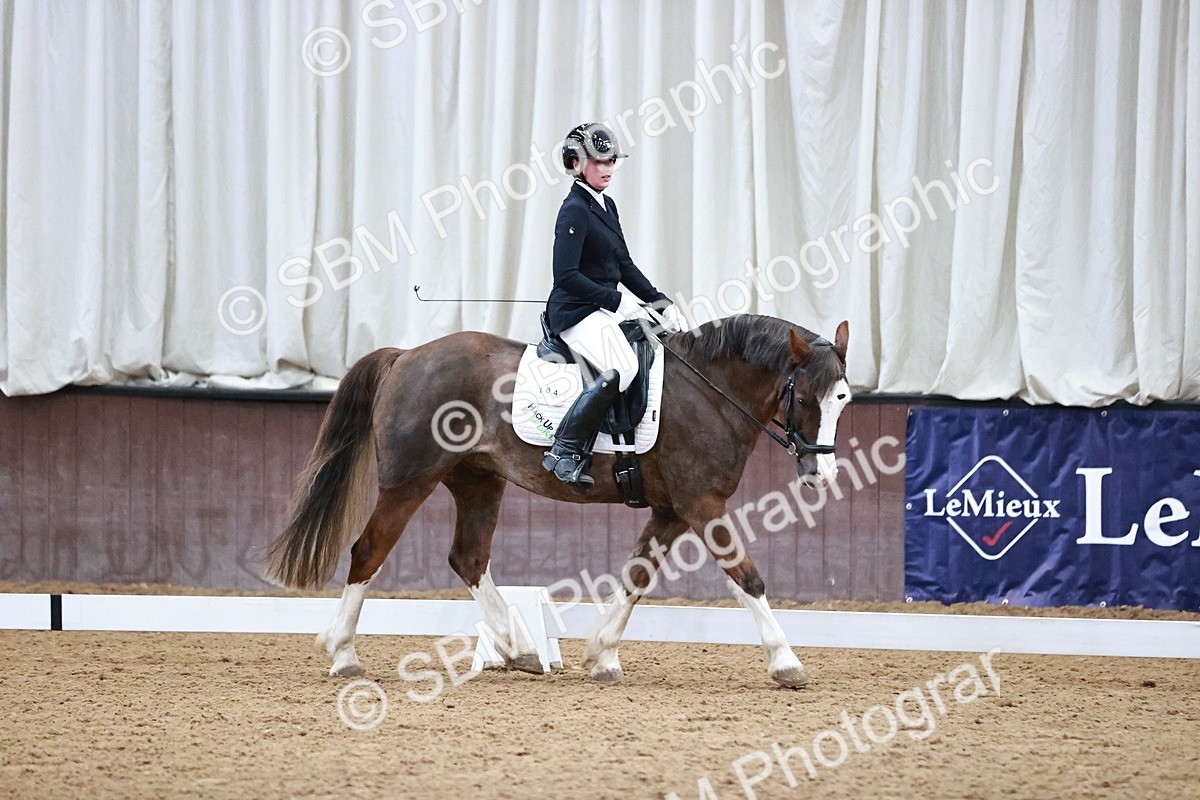 SBM_000155 - Class 3, 4, 8, 10 Intro 3 Prelim 3 Novice 2