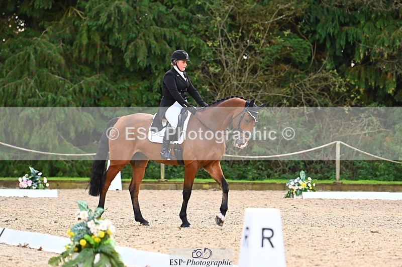 231021-144603-17920 - 359-ROSSDARRAGH.NERO-Charlotte.Rowe-DR