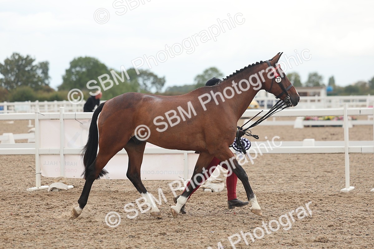 SBM_07848 - Class 27 - IH Competition Horse/Pony