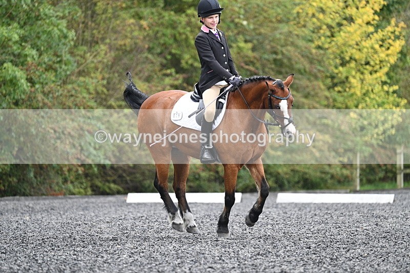 WJ7_4027 - Time 11:04 to 11:38