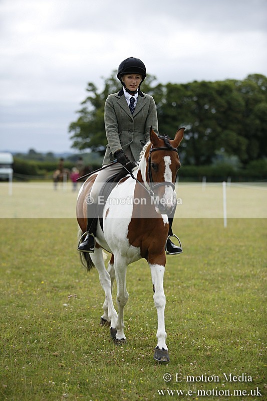 BVR160717-270 - Ring 1 BVRC Show 16/07/17