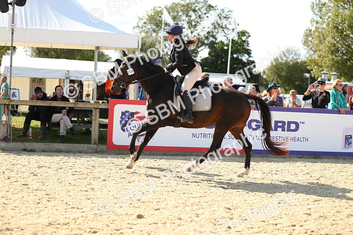 SBM_24419 - J45 - Accumulator 70 80cm