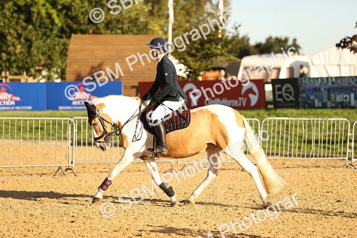 SBM_33043 - J38 - Senior 80cm Championship
