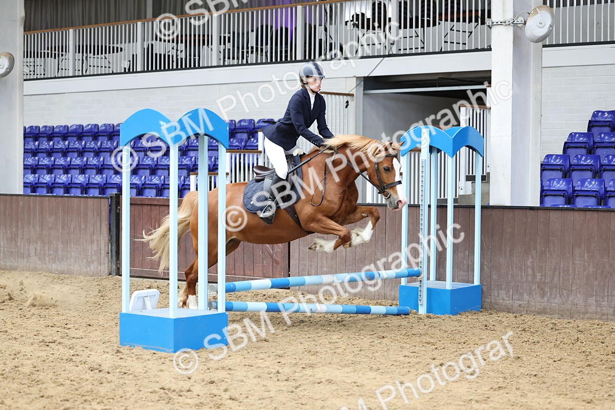 SBM_007874 - Class 3 - 60cm showjumping