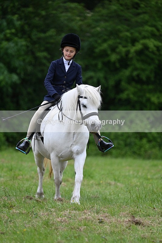 WJ7_4573 - Class 14B Prettiest Mare