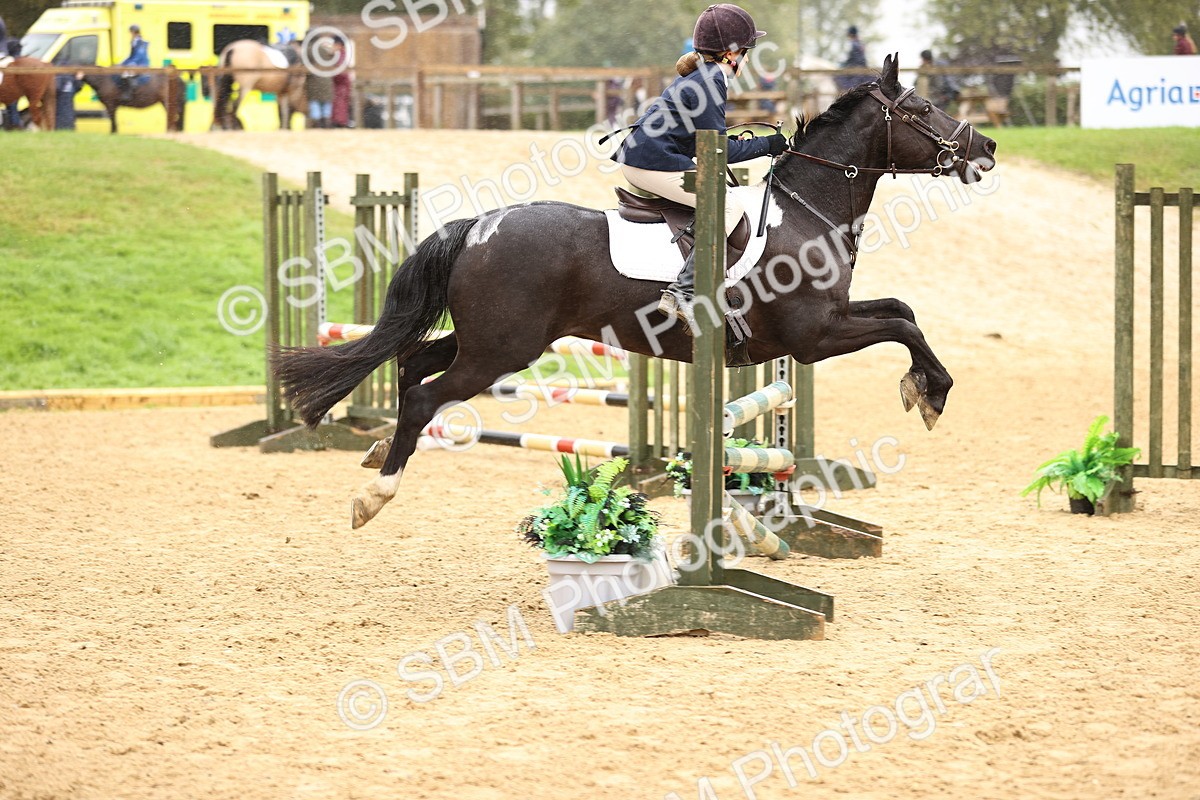 SBM_69973 - Supreme Championship 80cm 85cm