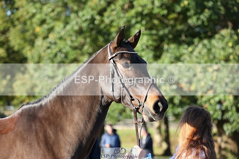 241027-090011-14953 - 458-Paige.Mcwilliams-FVS.CORRADO.MILLION