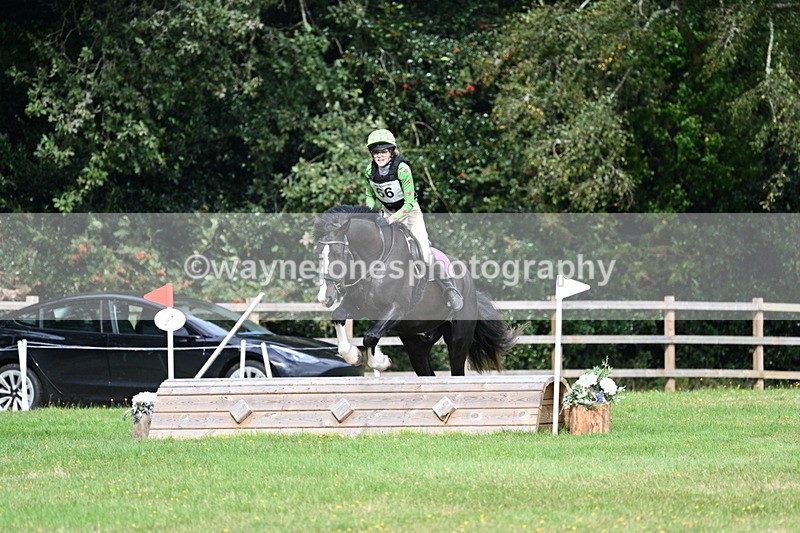 WJ7_8896 - 60cm Time 12:31 to 12:50