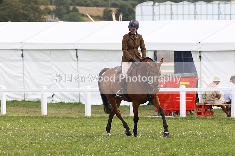 JPP_4113 - Class 24: Working Hunter 90cm