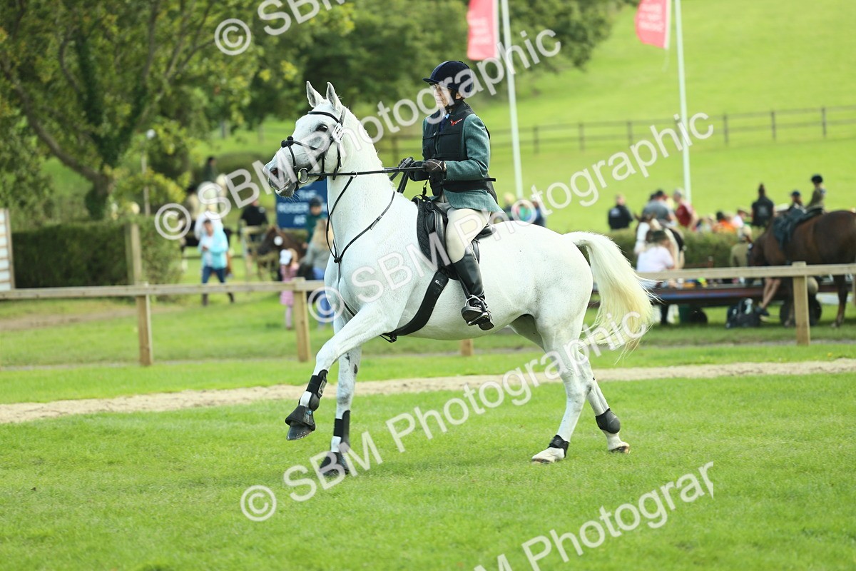 SBM_50593 - S33 - Working Hunter & Working Show Horse