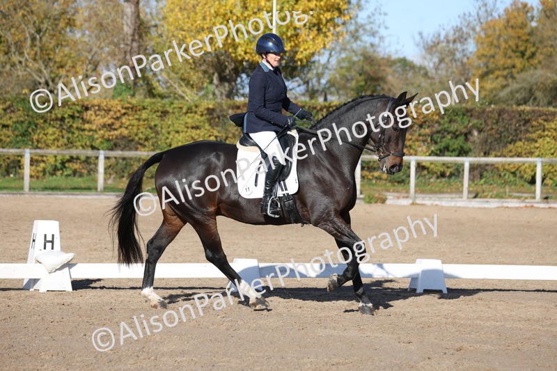 20251102-0988 - Class 5 - Elementary 5