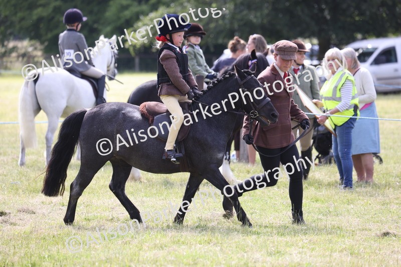 20260614-0596 - Class 20 - Beginners Working Hunter Pony