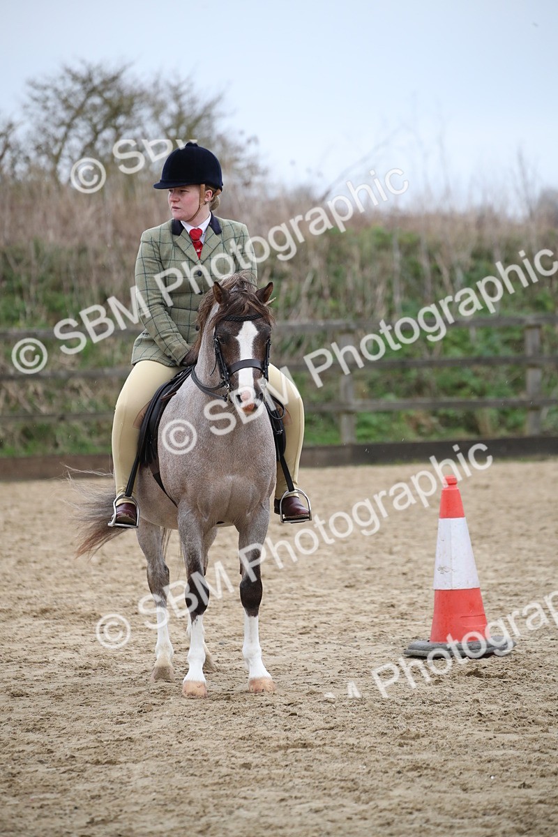 SBM_007292 - Class 10-13 - RIHS Small Large Breeds
