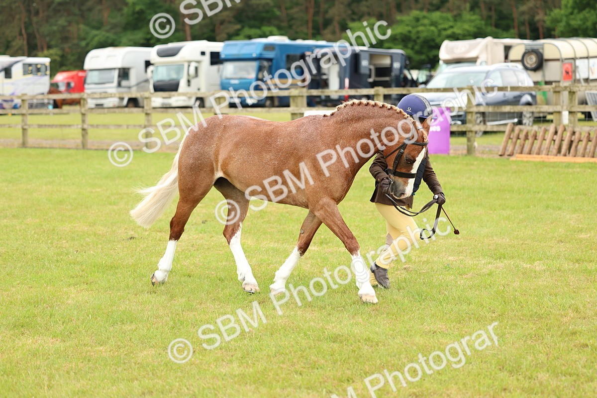 SBM_10292 - Class 44-45 - LIHS BSPS Open Nursery and Cradle Stakes