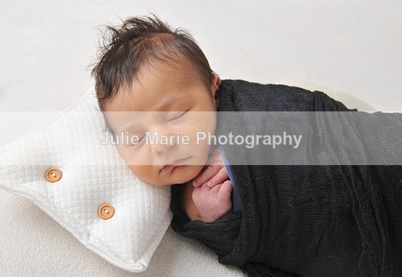 DSC_4990 - Sadie