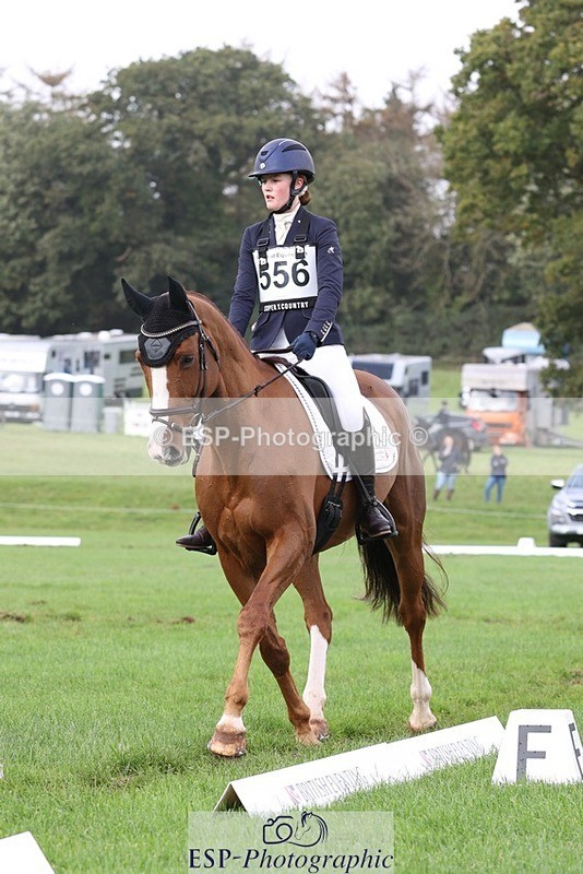 231019-153539-04929 - 556-SHANNONDALE.MOCHA-Lucy.Davies-DR