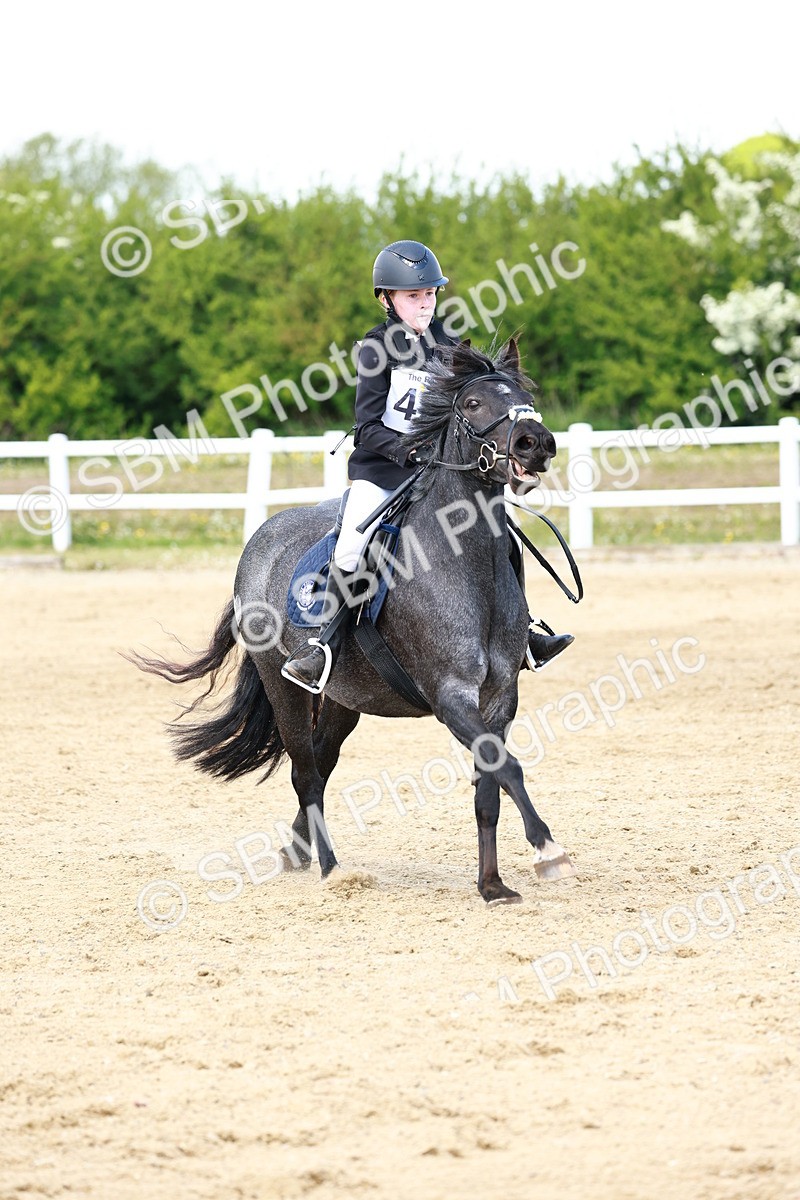 SBM_007842 - Class 3 - 60cm