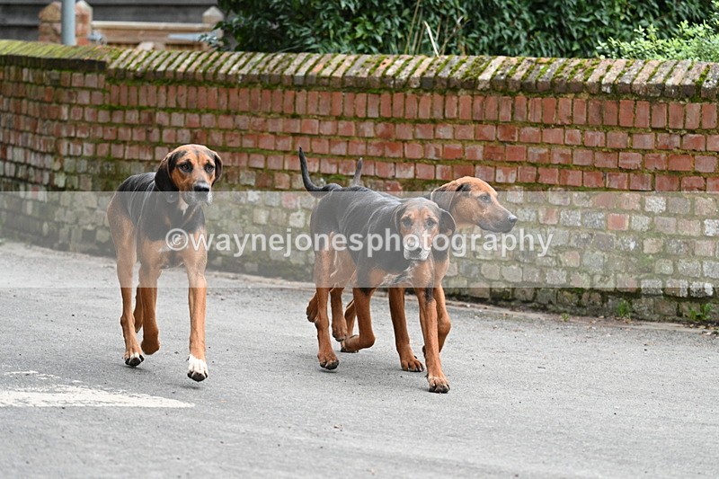 WJ7_1034 - Pub Corner