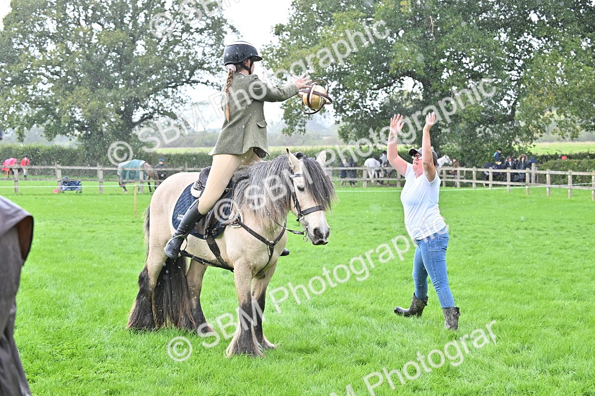 SBM_43012 - S12 - Family Horse & Pony