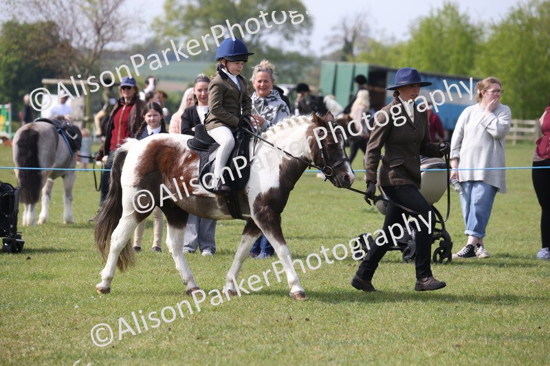 20260426-2592 - Class 31 - Leading Rein