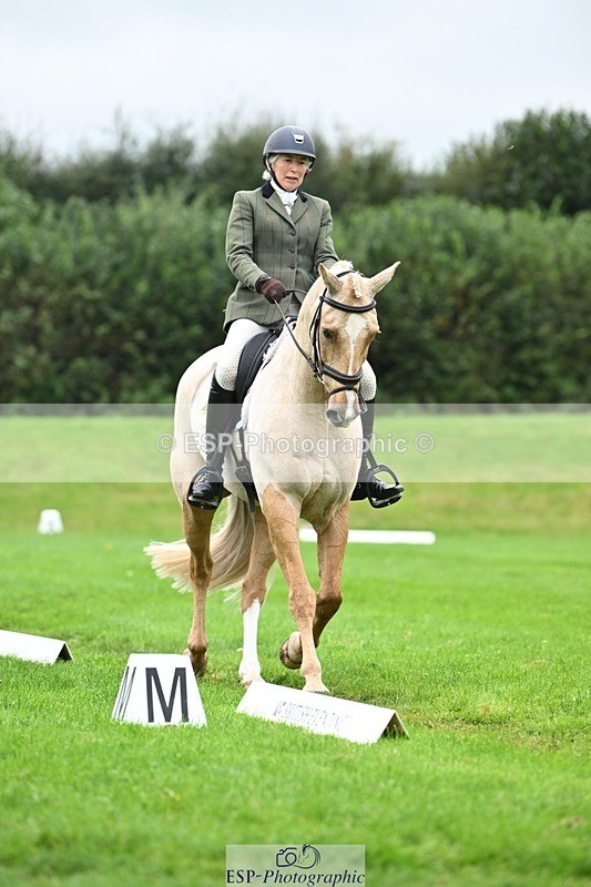 241024-125111-03529 - 519-Jane.Rogers-CORRIEVIEW.MERLIN.MAGIC