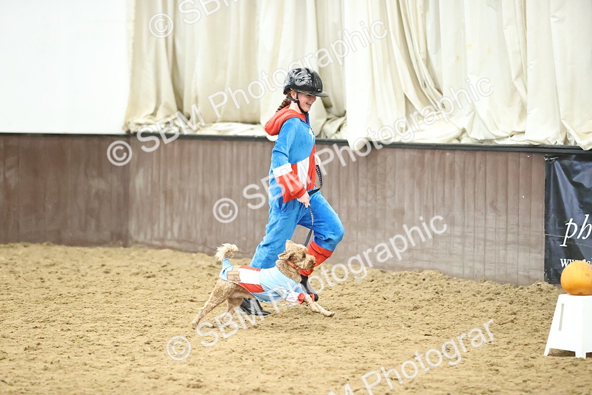 SBM_001620 - Class 3 - Horse & Hound 60cm