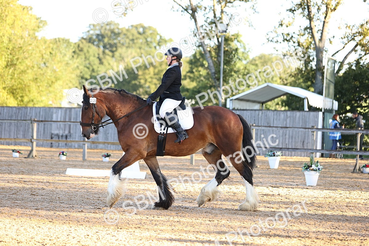 SBM_00650 - D1 - Small Tour Championship