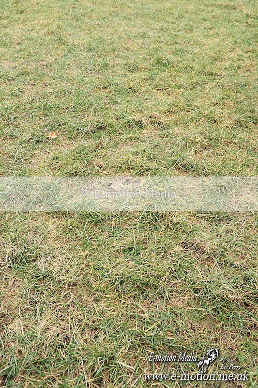 PtPres 16022518 - Presentations Combined Services PtP 16/02/25