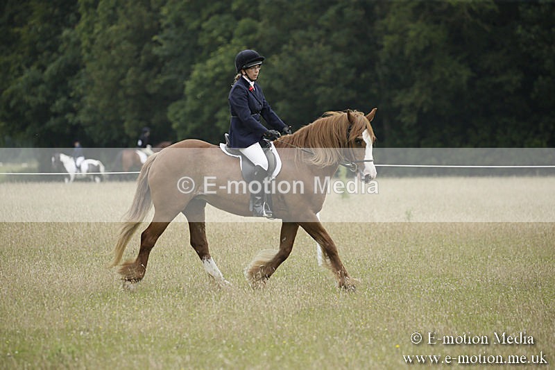 B230619-0317 - Bourne Valley Riding Club Summer Show 23/06/19