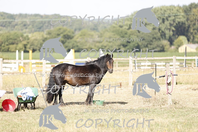 _R6A0764 - GENERAL PHOTOS