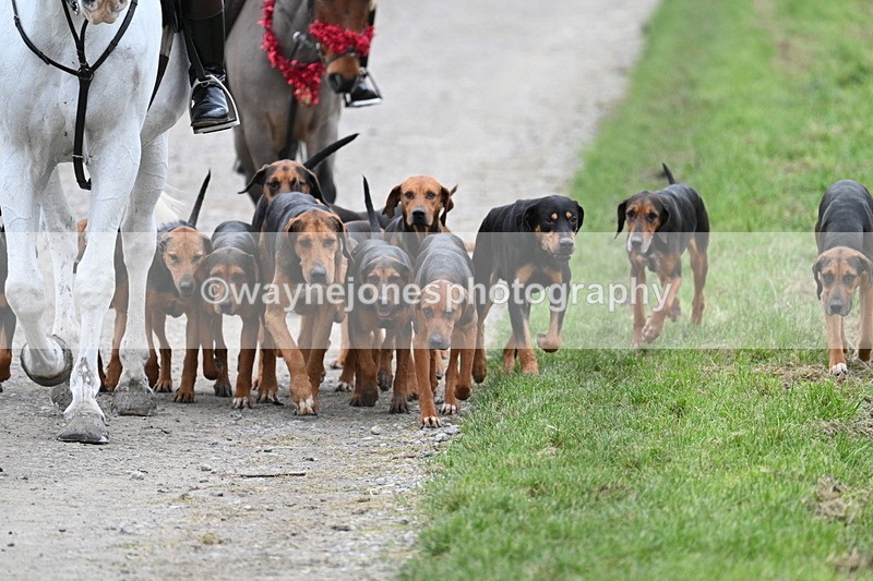 WJ7_1203 - Walk Home