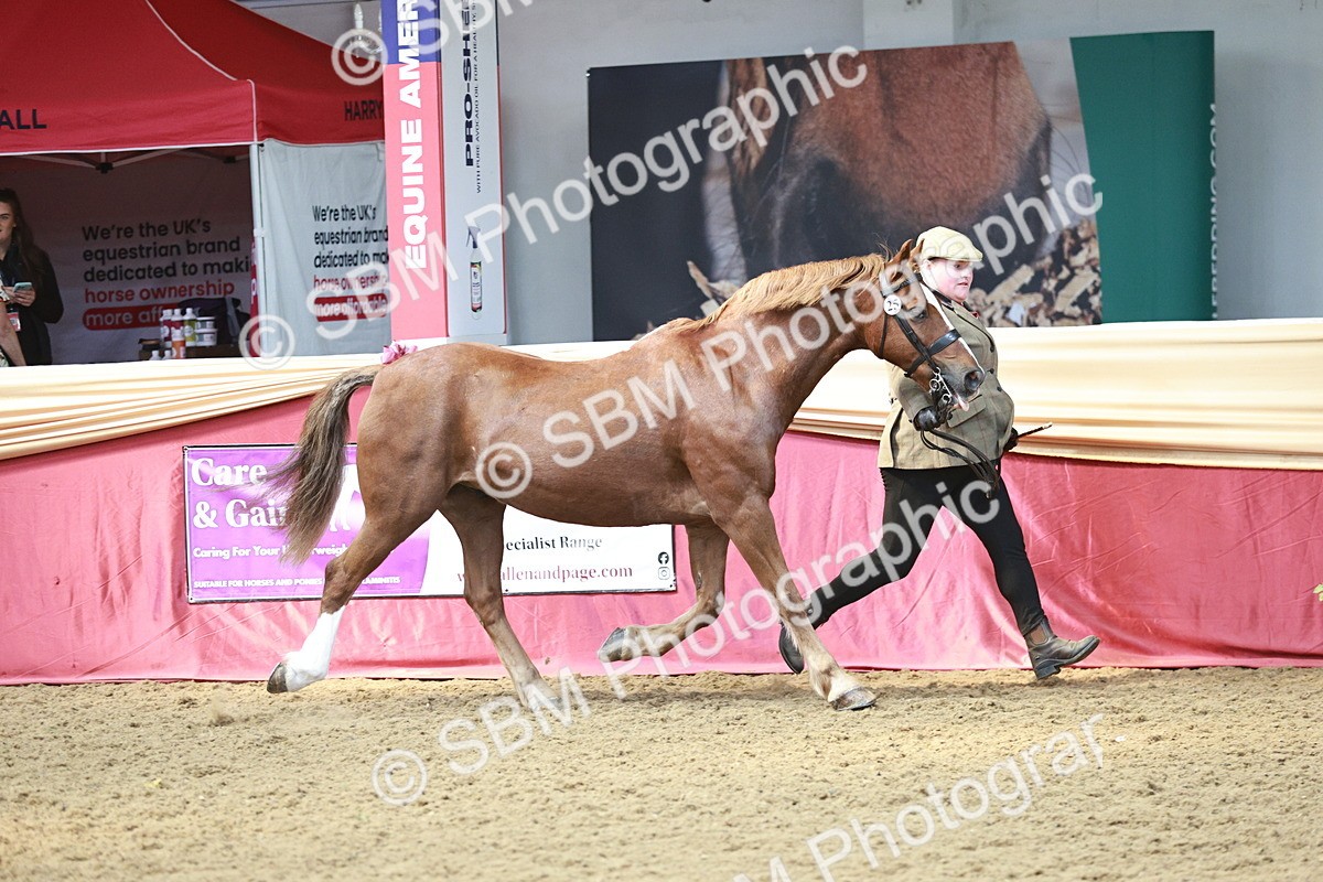 SBM_04759 - Class 7R - Regional IH Diamond