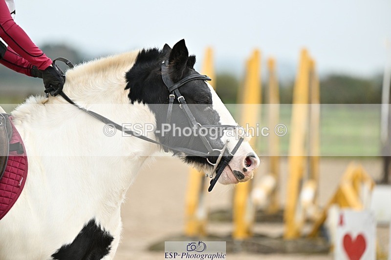 241110-115050-00539 - 50-55cm Arena Eventing