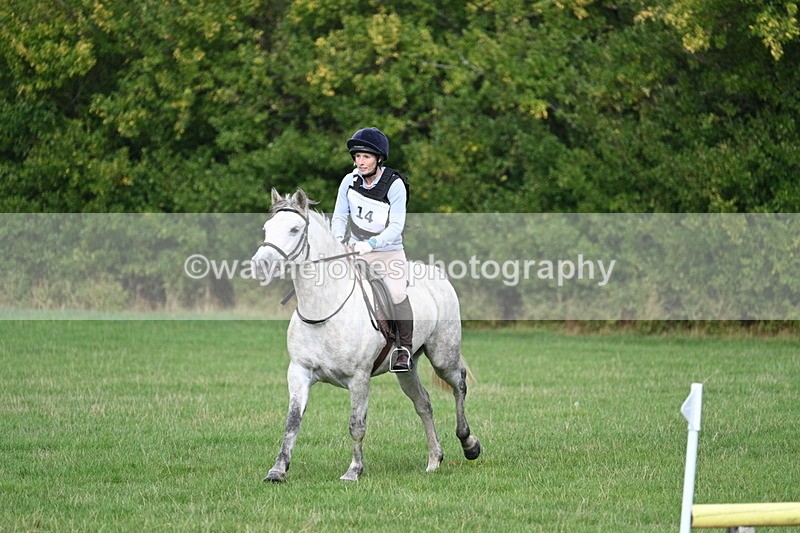 WJ7_8398 - 60cm Pairs